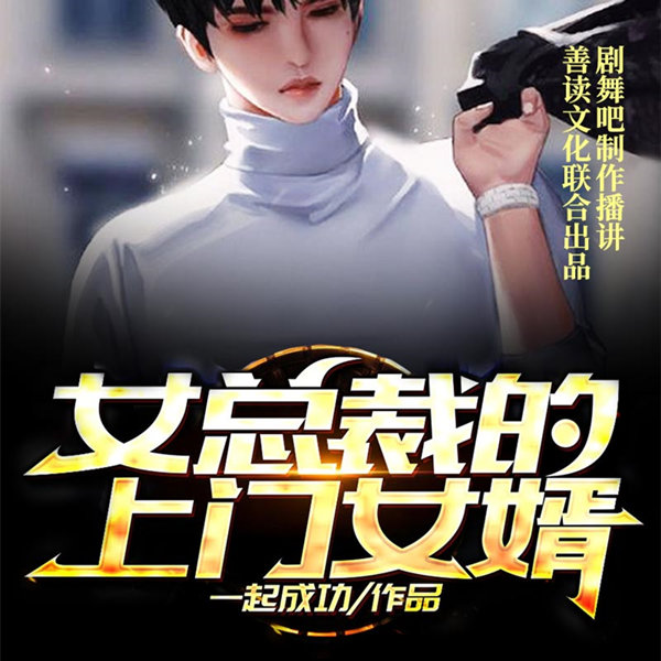 女总裁的上门女婿