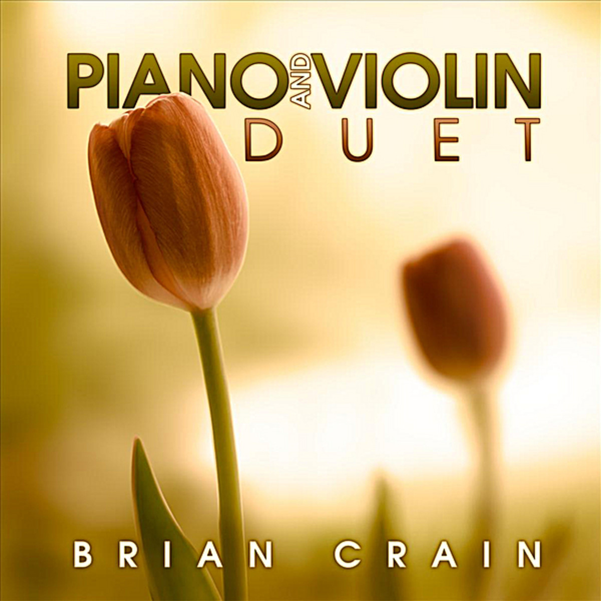 itary hill_brian crain__高音质在线试听_solitary hill歌词|歌曲