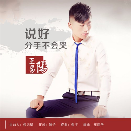 王易阳__高音质在线试听_说好分手不会哭歌词|歌曲_不