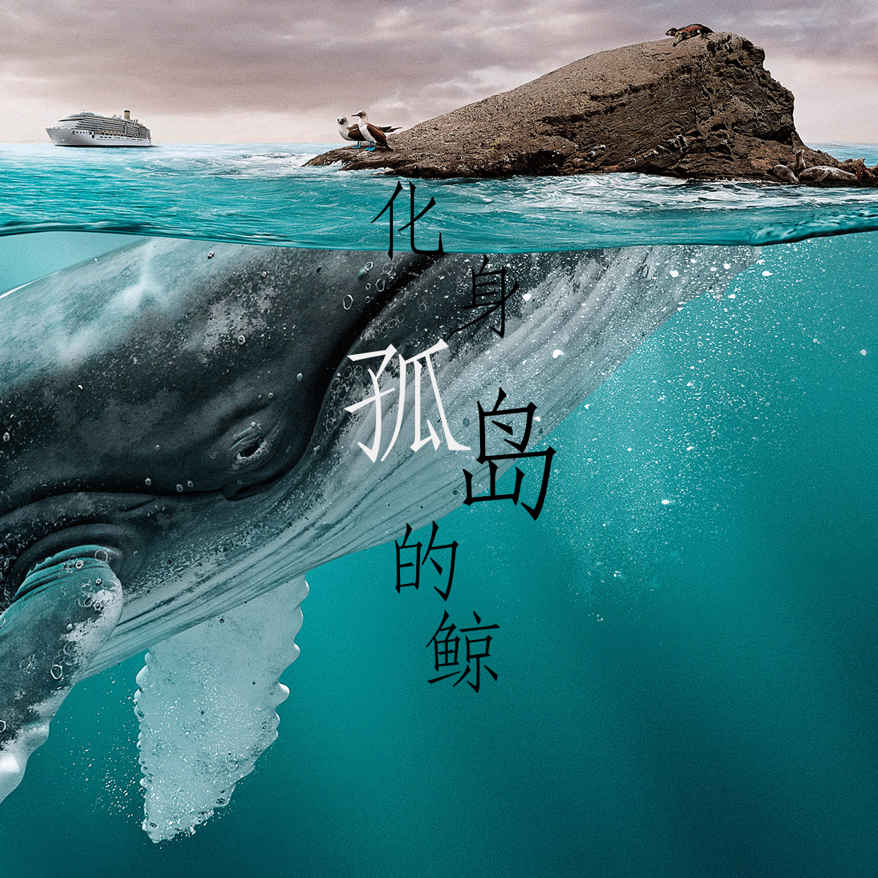 冰韵汐化身孤岛的鲸
