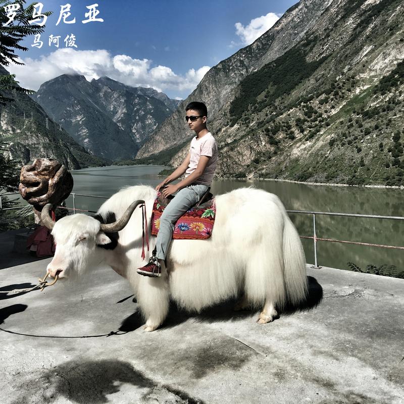 马阿俊__高音质在线试听_生能尽欢死亦无憾歌词|歌曲下载_酷狗音乐生