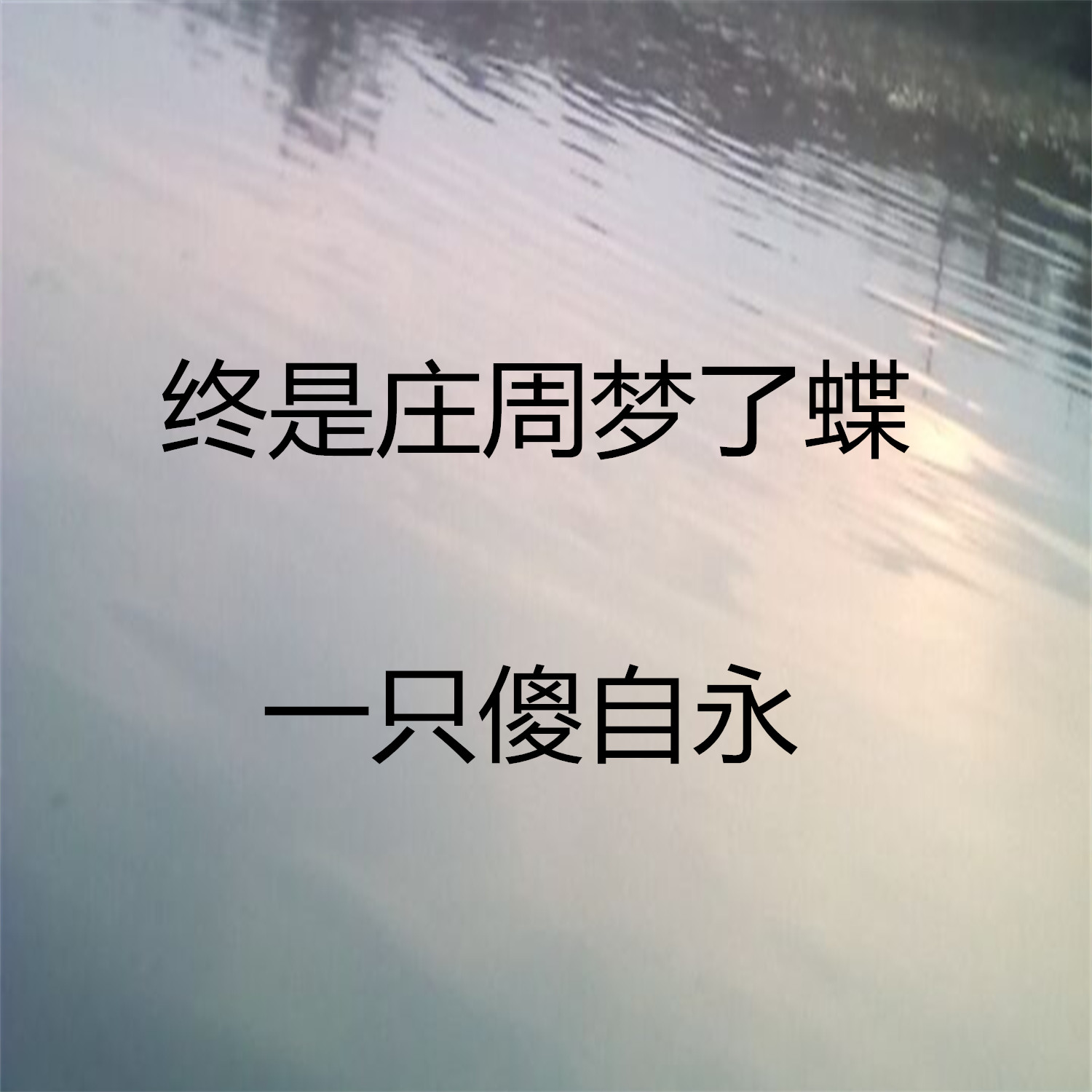 终是庄周梦了蝶