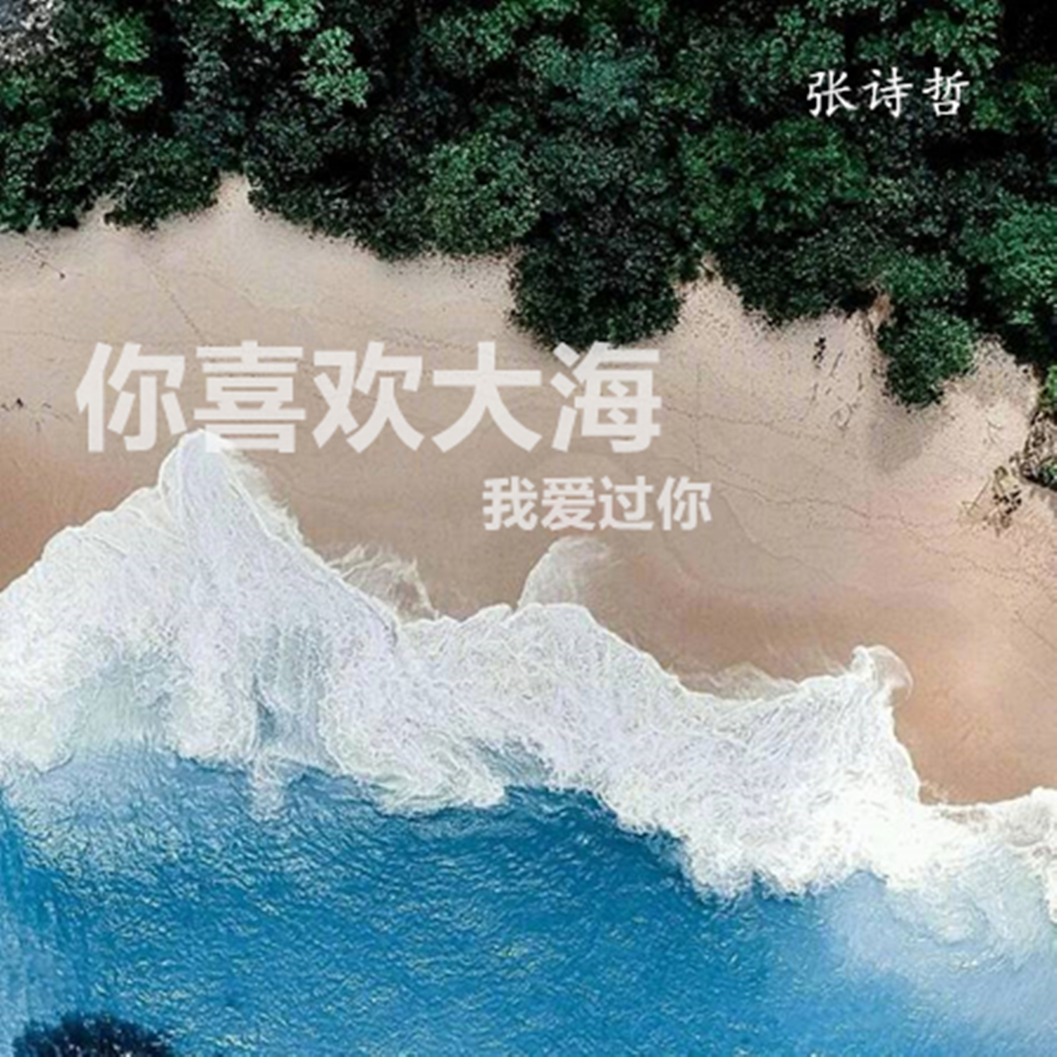 张诗哲你喜欢大海我爱过你