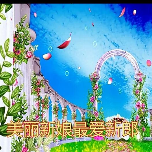 e__高音质在线试听_美丽新娘歌词|歌曲下载_酷狗音乐美丽新娘_李以