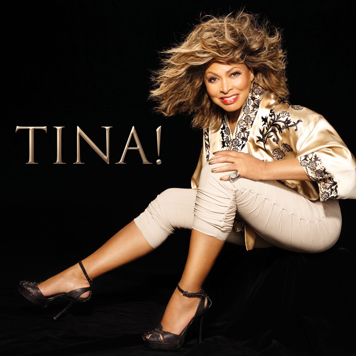 tinaturnerproudmary