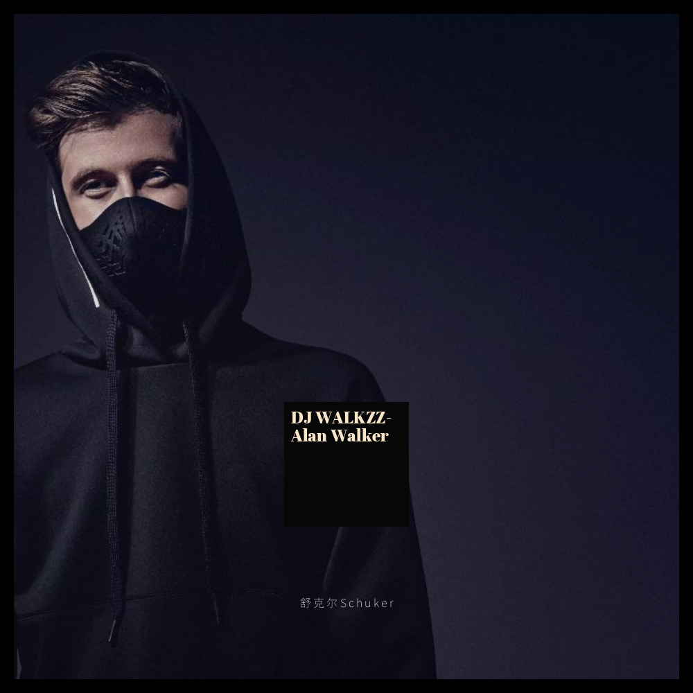 lkzz-alan walker_alan walker_舒克尔schuker__高_dj