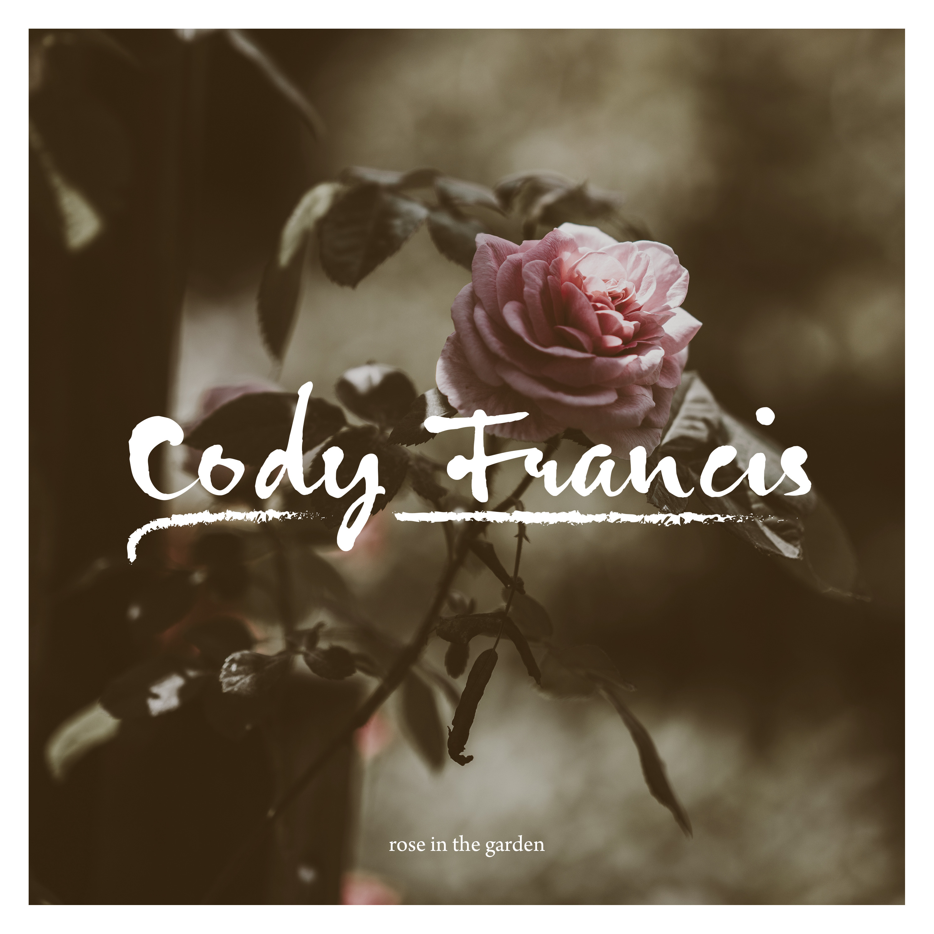 take my hand_cody francis__高音质在线试听_honey take my hand歌词