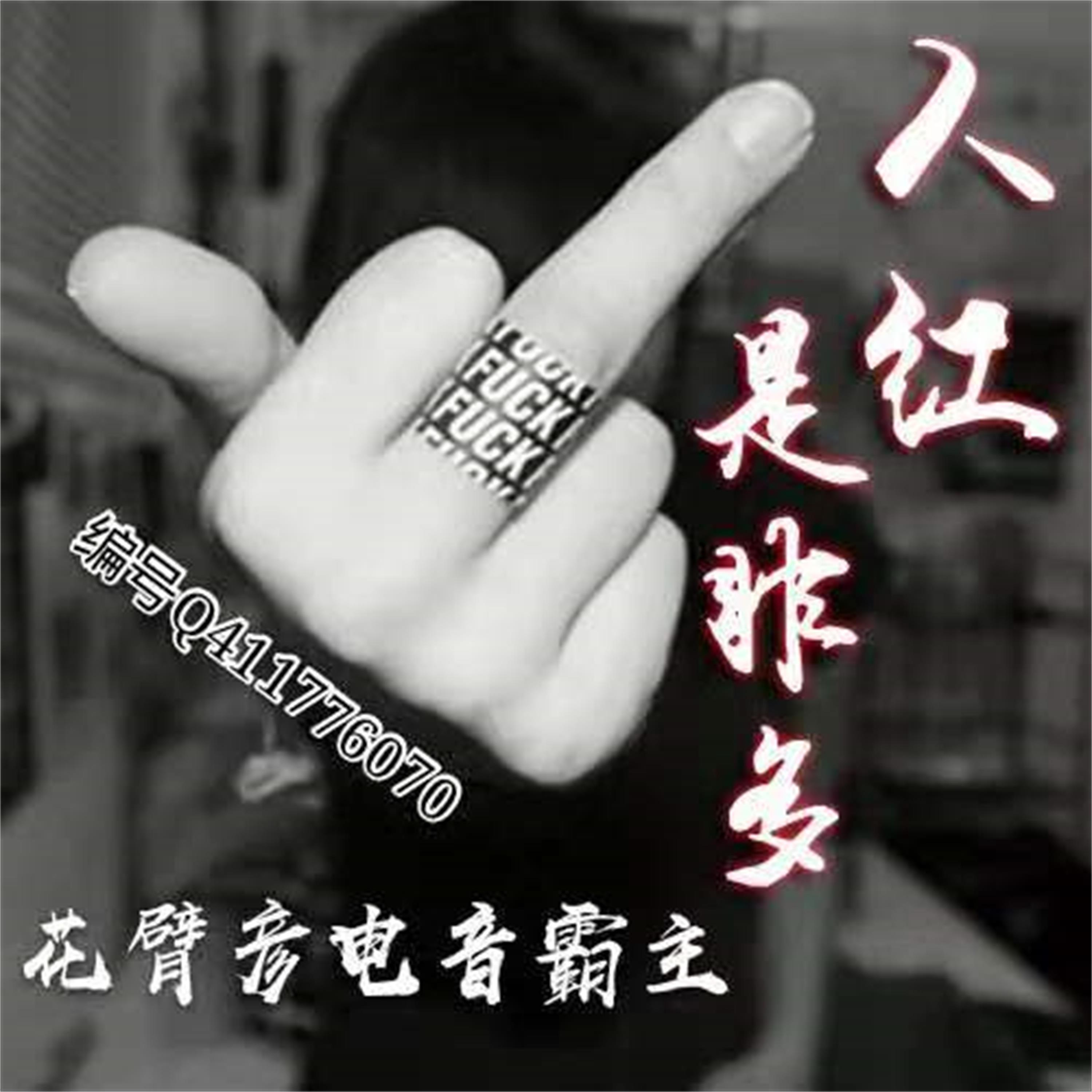 恶终有报_独钟花臂彦__高音质在线试听_善恶终有报