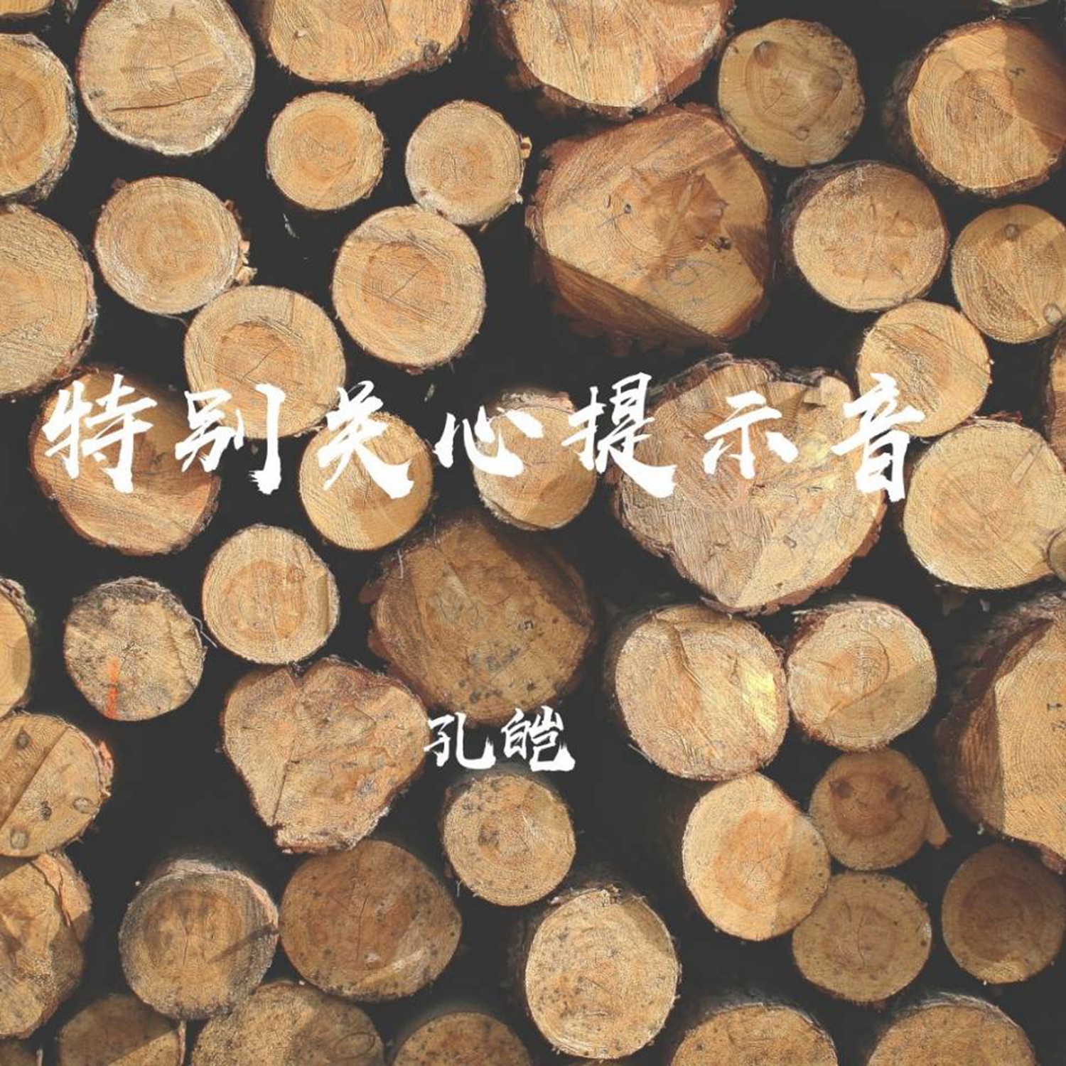 孔皑特别关心提示音伴奏