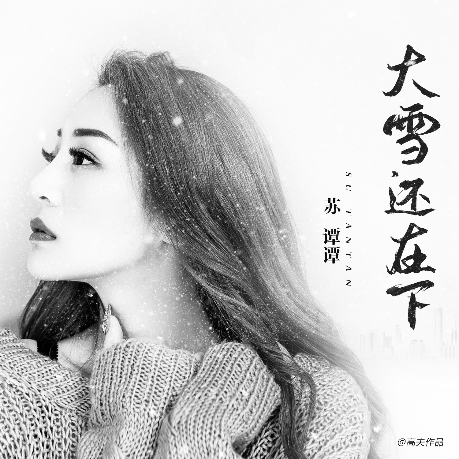 在下_苏谭谭__高音质在线试听_大雪还在下歌词|歌曲