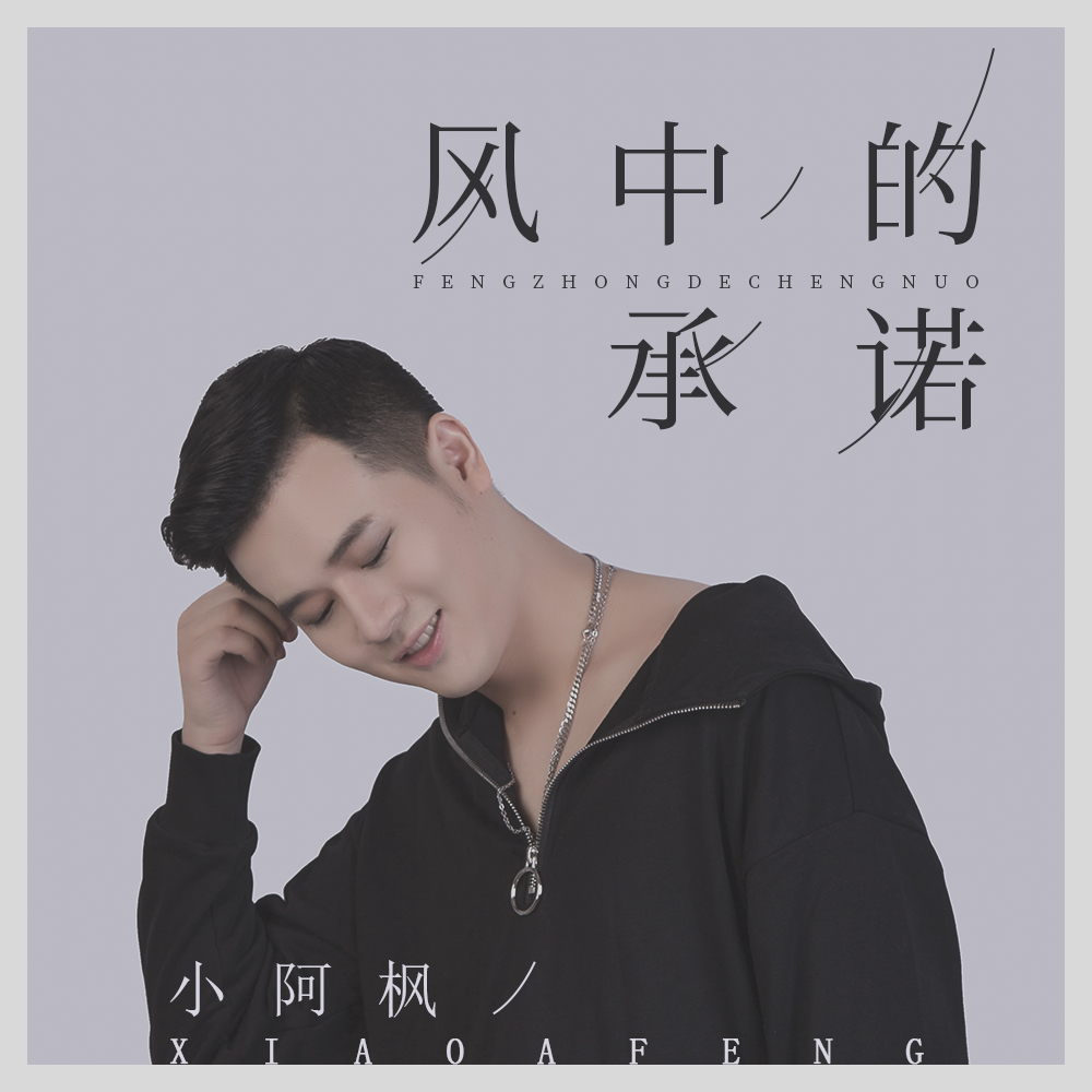 小阿枫__高音质在线试听_风中的承诺歌词|歌曲下载_酷狗音乐风中的