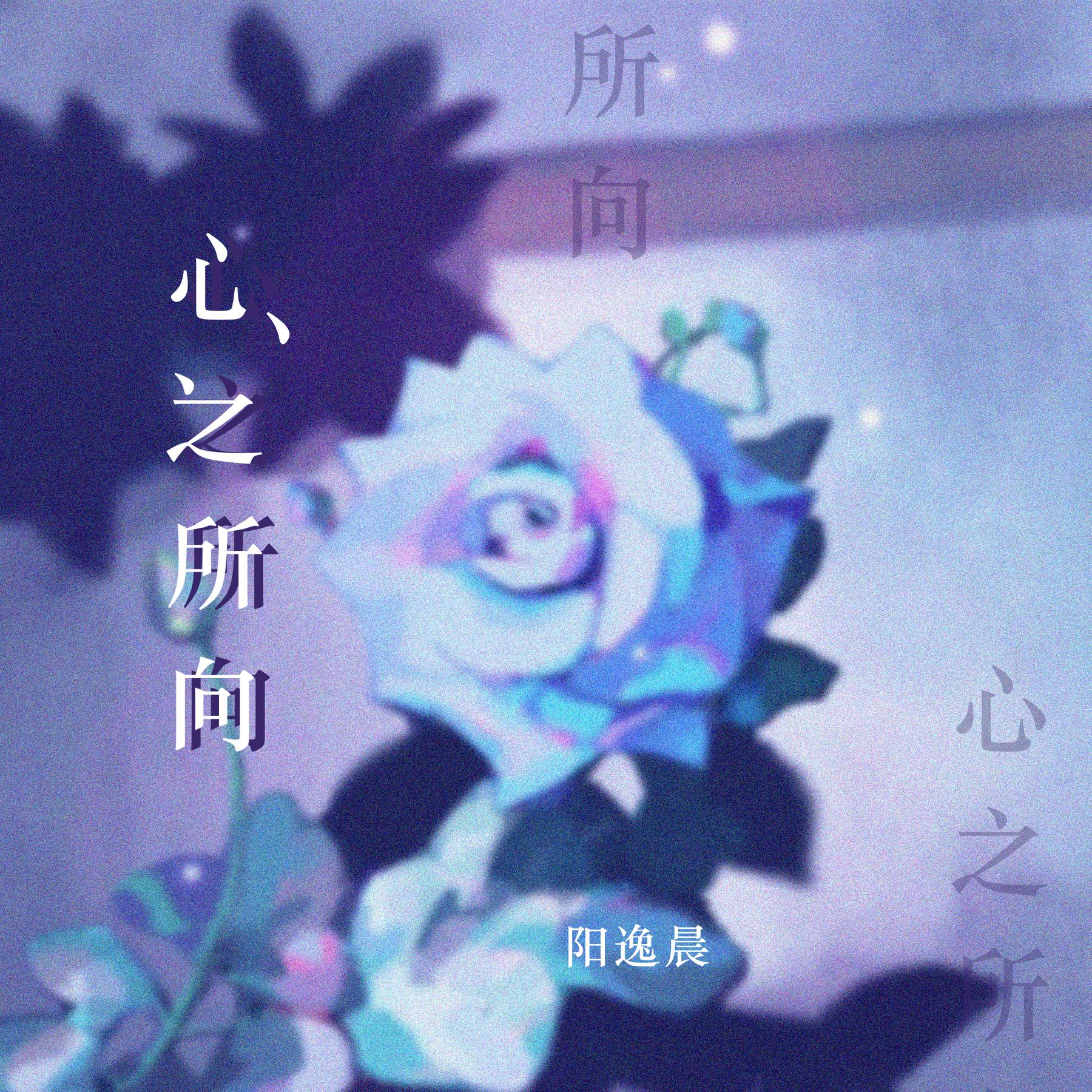 阳逸晨心之所向伴奏