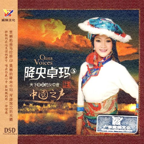 降央卓玛草原夜色美