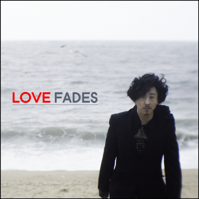 love fades