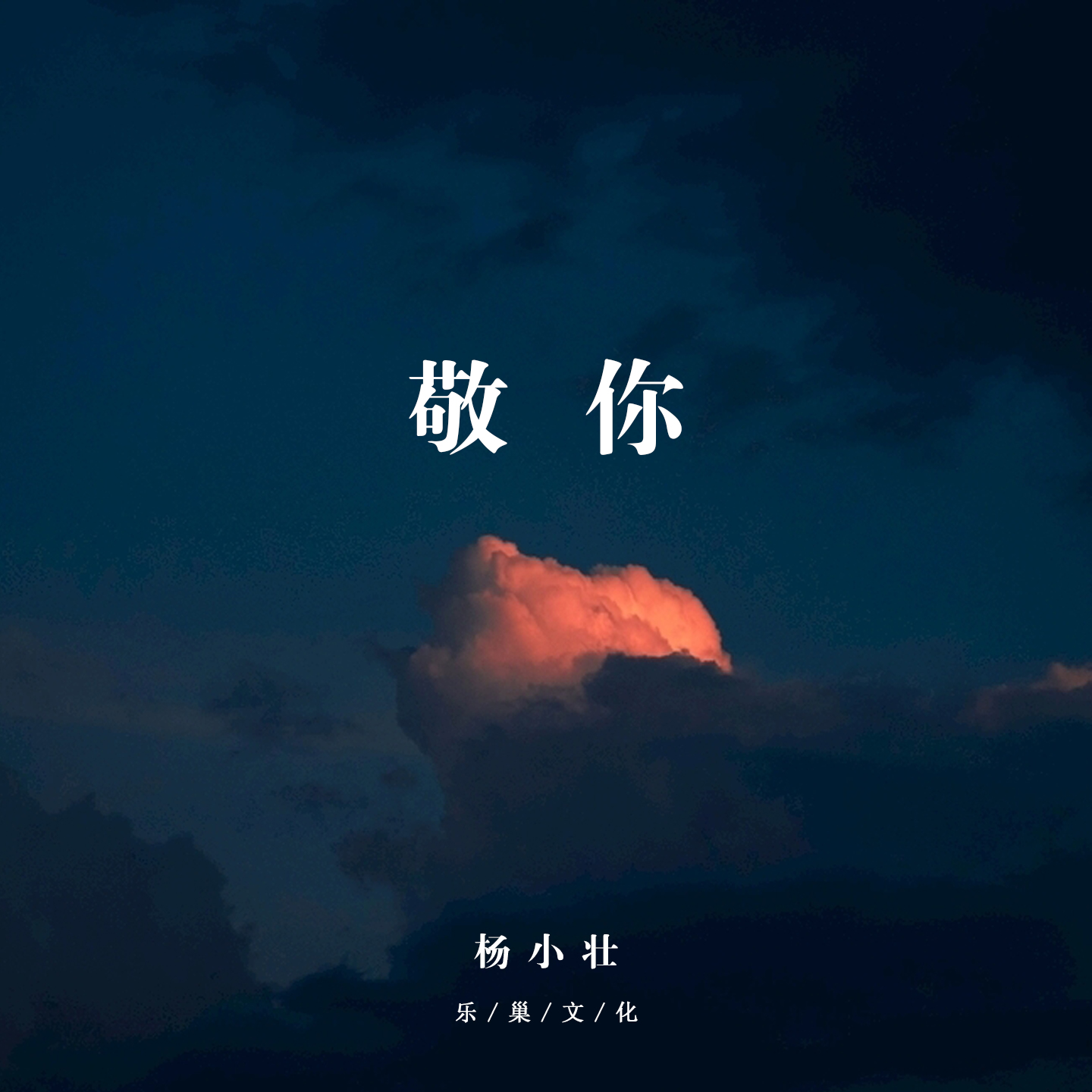 杨小壮__高音质在线试听_敬你歌词|歌曲下载_酷狗音乐敬你