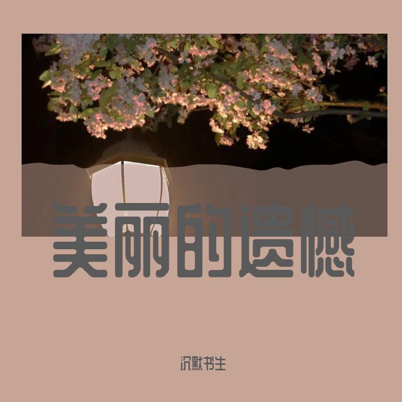 美丽的遗憾