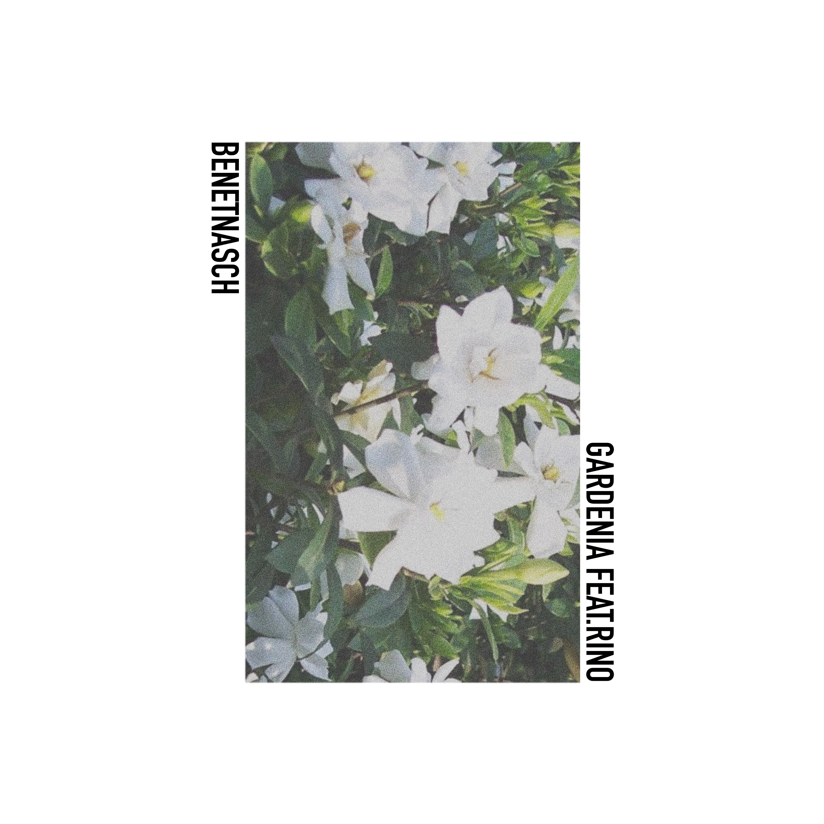 denia_摇光benetnasch__高音质在线试听_gardenia歌词