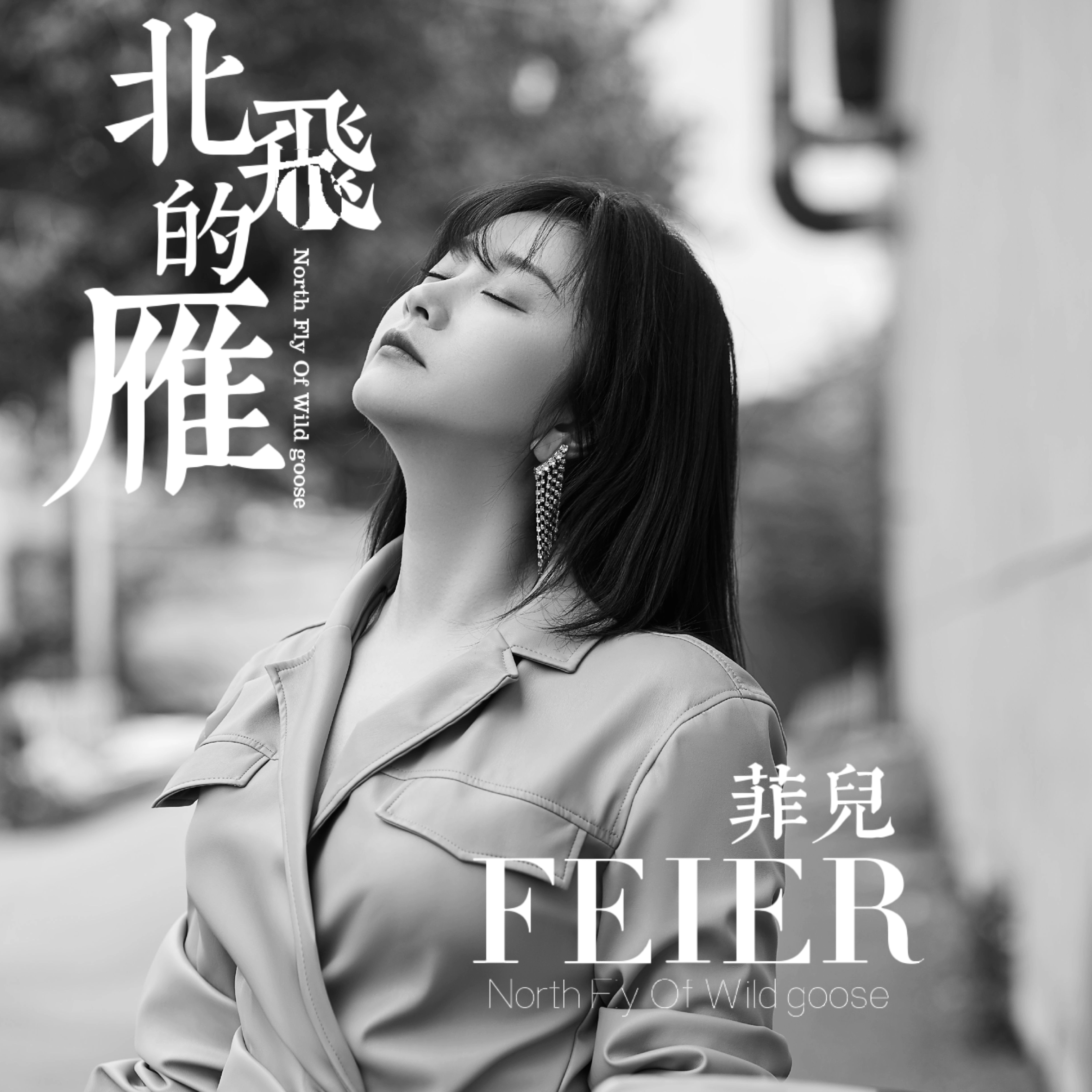 雁_菲儿__高音质在线试听_北飞的雁歌词|歌曲下载_酷狗音乐北飞的