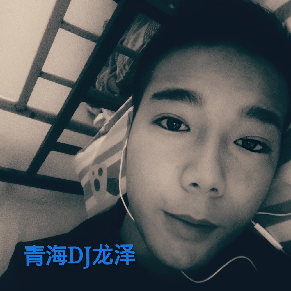 青海龙泽_sunnalu__高音质在线试听_先摇后摆歌词|歌曲下载_酷狗音乐
