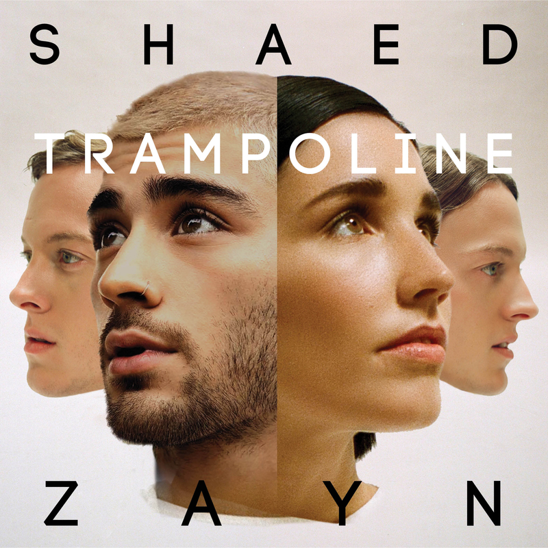 shaedzayntrampoline