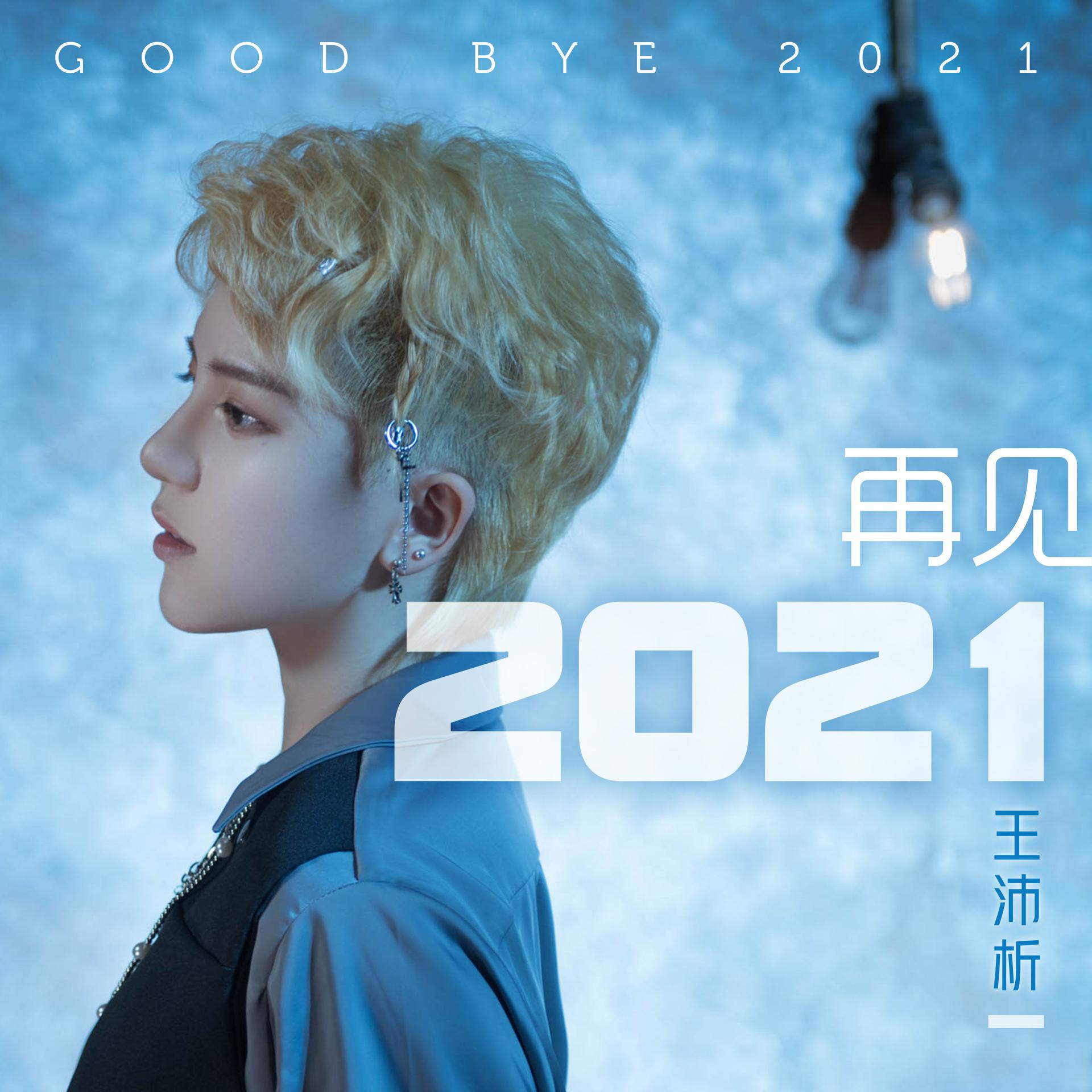 王沛析再见2021