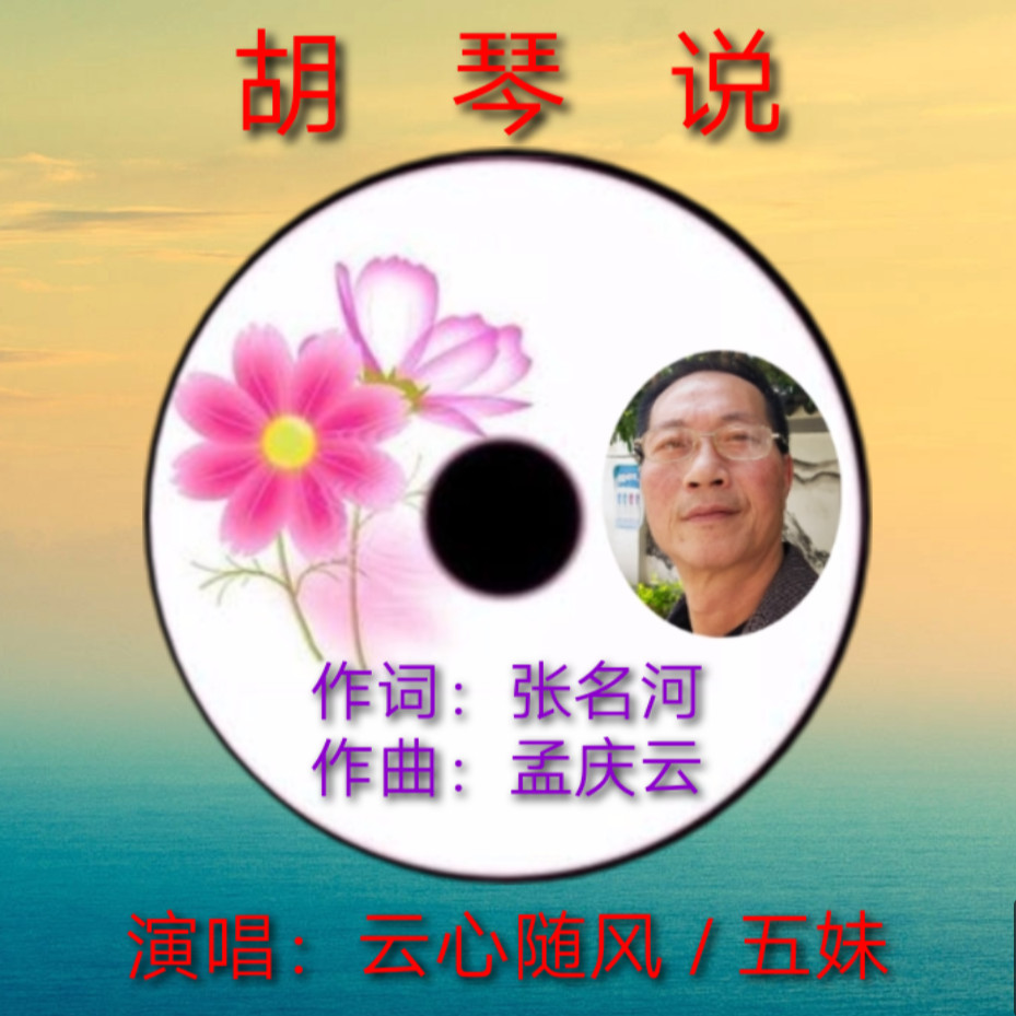 云心随风胡琴说cover王莉汤非