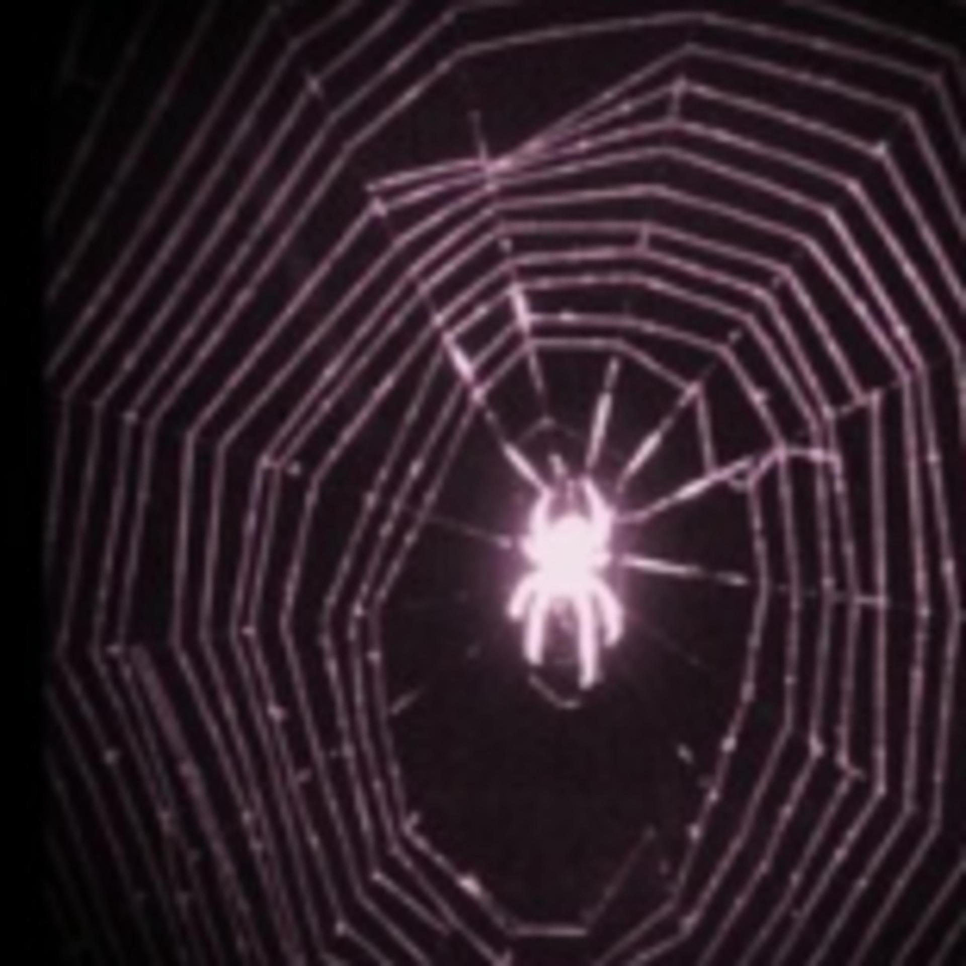 madimarie歌手简介,mariecurie简介 外部播放此歌曲>metamorphosis专辑:metamorphosis歌手:madi marie