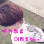 维富皇家礼炮 (Remix)