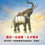 沈石溪：最后一头战象