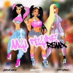 My Type (feat. City Girls & Jhené Aiko)(Remix|Explicit)