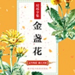 金盏花