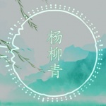 「杨柳青」电音&二胡 (remix)