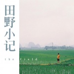 田野声音 大自然的声音 自然声音
