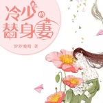 冷少的替身妻