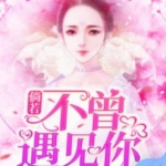 倘若，不曾遇见你