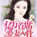 一胎二寶：億萬首席愛妻入骨