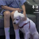 处处吻