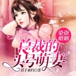 染指婚姻：总裁的头号萌妻