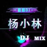 酷音DJ杨小林