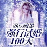 Boss腹黑：强行试婚100天