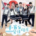 《十五年等待候鸟》影视原声剧