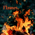 Flames (feat. Travis Porter & LUM!X) [Explicit]