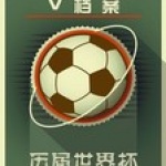 V档案：历届世界杯