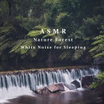 白噪音深眠: 自然森林之声