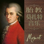 莫扎特钢琴曲k448 第三乐章