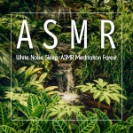 白噪音睡眠: ASMR冥想森林