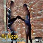 My Nigga (feat. DeDe Pooh & La'Ola) [Explicit]