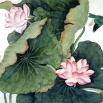 心似莲花，净而不染。
