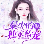 盛夏暖婚：秦少的独家私宠