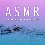 白噪音睡眠: ASMR舒眠雨天